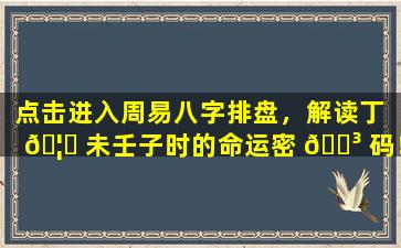点击进入周易八字排盘，解读丁 🦅 未壬子时的命运密 🐳 码！